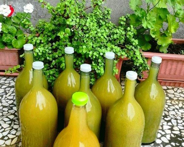 آبغوره طبیعی و خانگی گیلانه