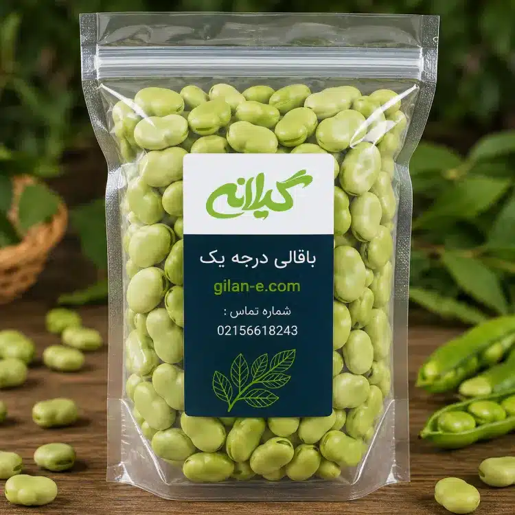 باقالی گیلانه