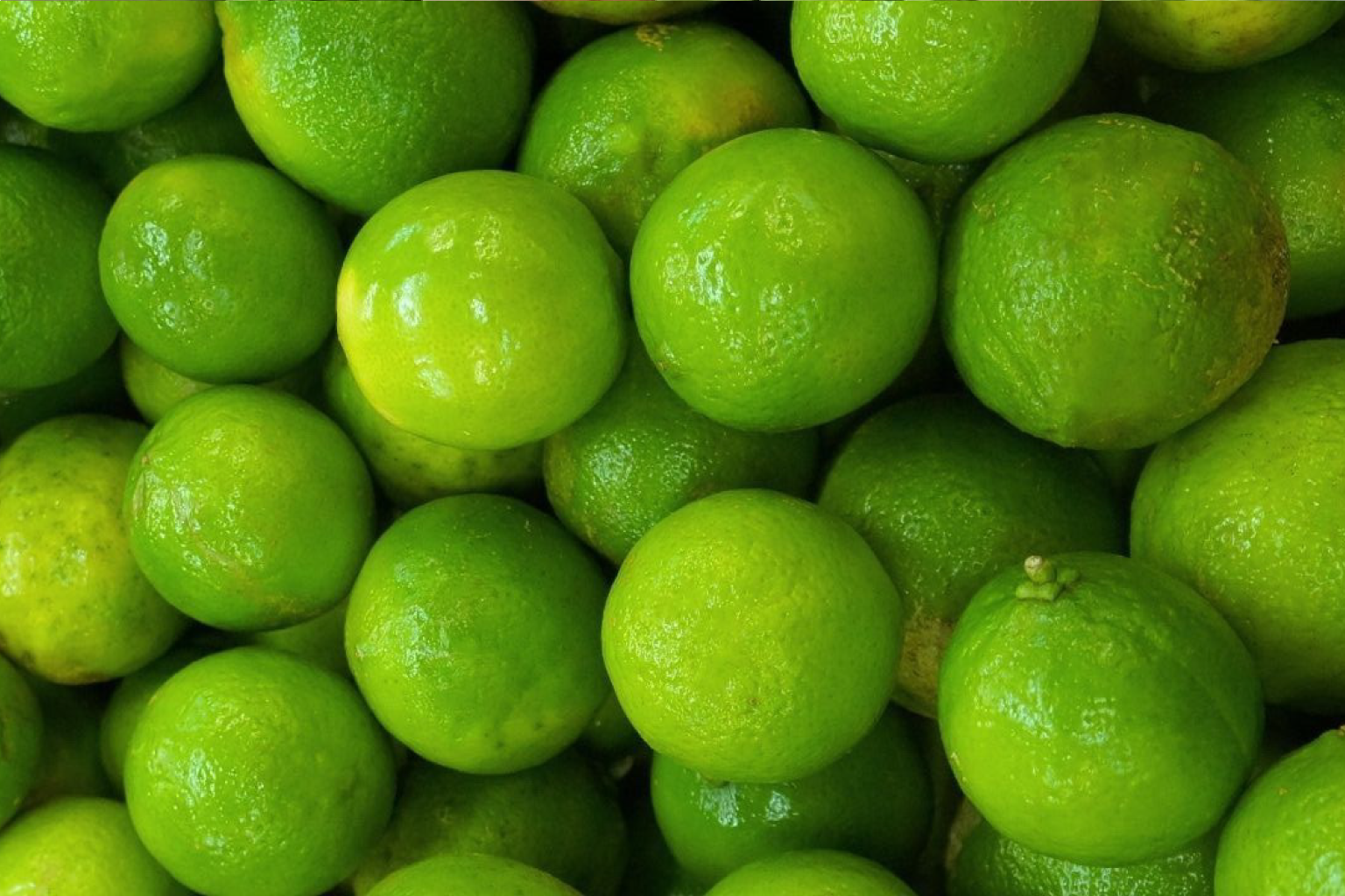 لیمو-ترش-گیلانه